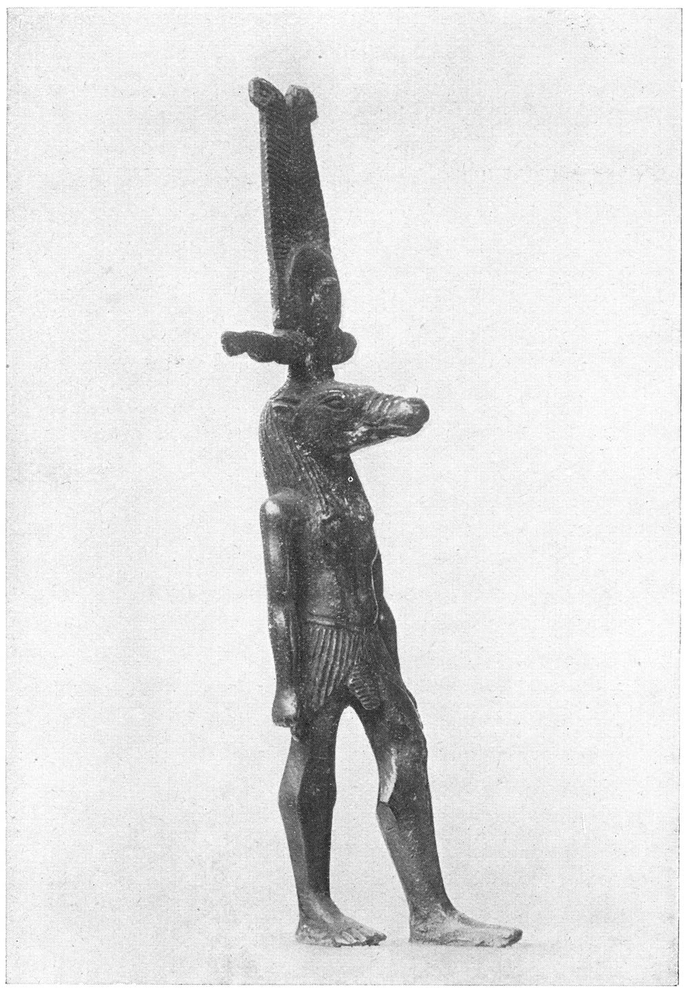 Sebek.