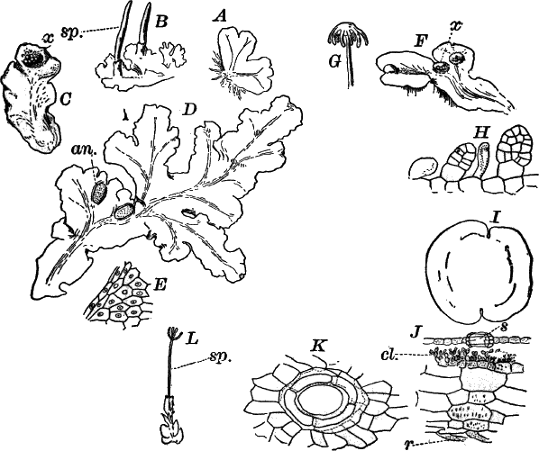 Fig. 57.