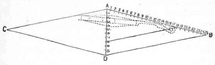 Angles of Violin Strings