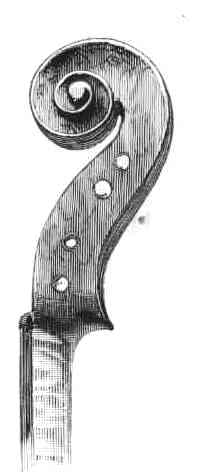 Stradivari scroll