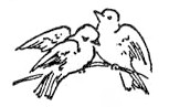 doves