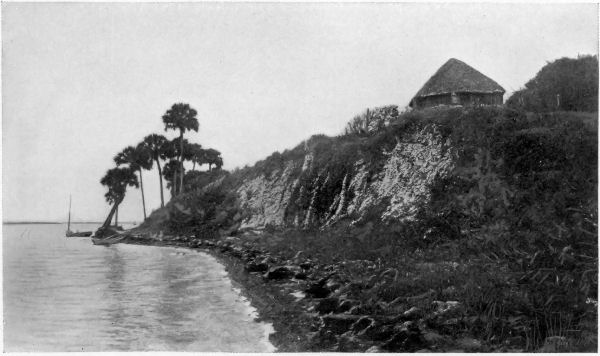 ALONG THE COAST OF FLORIDA.