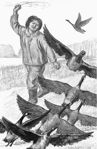 THE ALEUT BOY LAUNCHED HIS MISSILE INTO THE MASS OF
FLYING FOWL