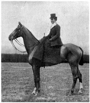 Woman seated side-saddle on a horse.