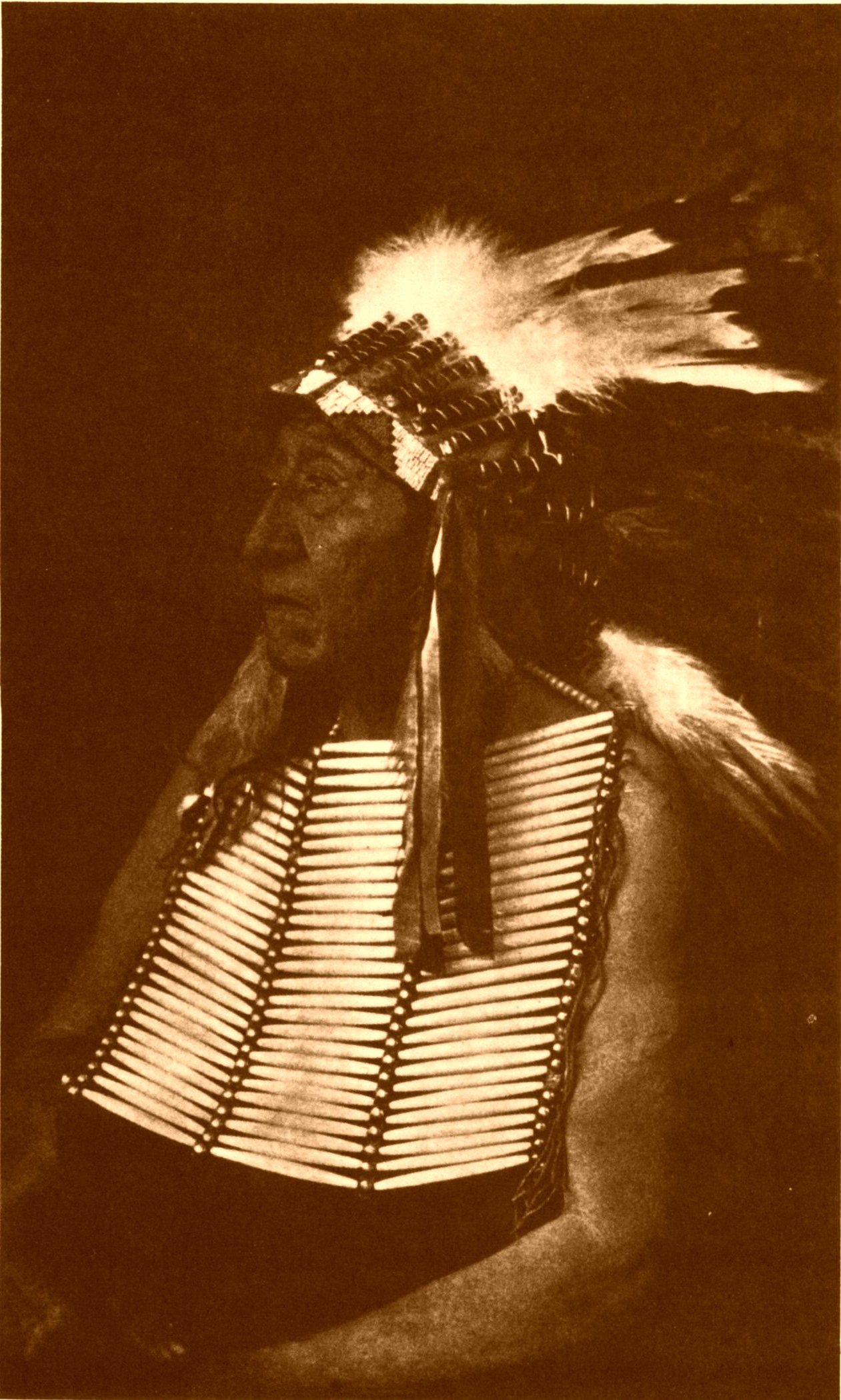 Chief White Horse