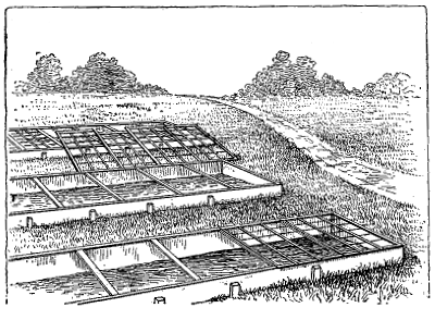 FIG. 15—COLD-FRAMES ON HILL-SIDE