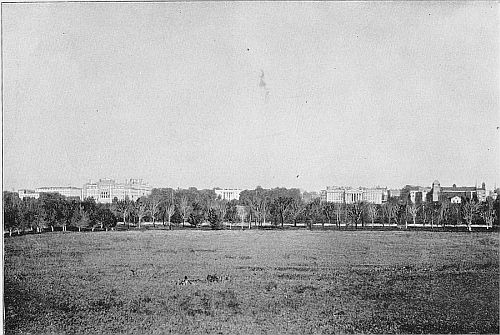 VIEW FROM BASE OF THE WASHINGTON MONUMENT.