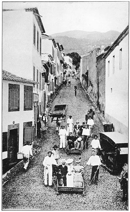 Straat in Funchal, Tobaggans.