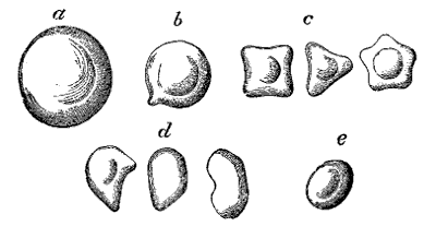 Fig. 45.