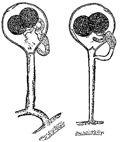 Fig. 97.