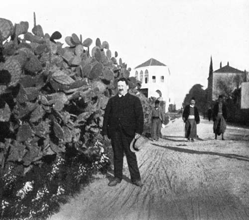 CACTI IN BEYROUT MADE AN IMPENETRABLE FENCE.