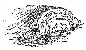 Fig. 10.