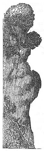 Fig. 84.