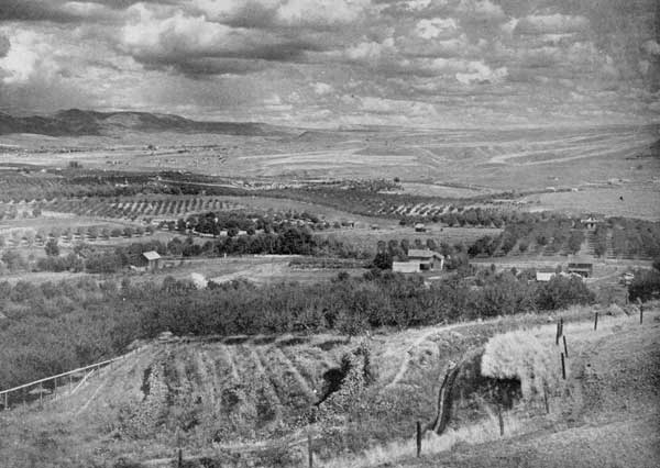 A valley of Washington. "The big Westland smiles and
receives them all"
