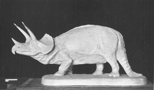 By permission of the American Museum of Natural History

Model of a three-horned Dinosaur, Triceratops, from Cretaceous of
Montana. Animal in life about 25 feet long