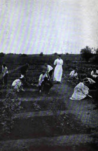 A school garden where the children are taught to love
and understand the growing things as well as to cultivate them.