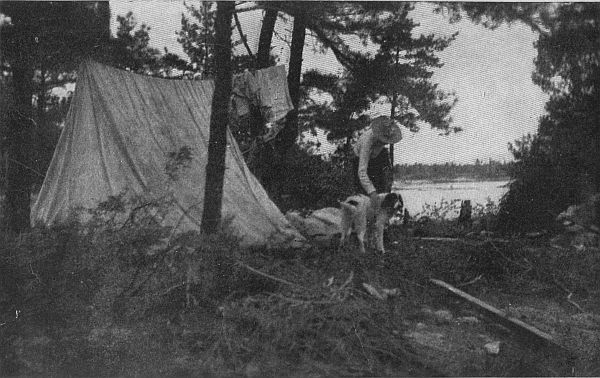 "Bed in the bush with stars to see"