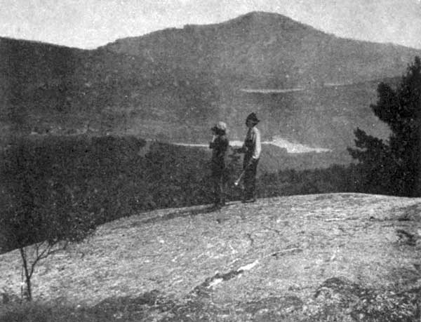 Blue Mountain seen from Owls Head