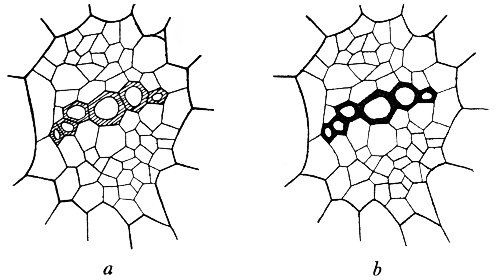 Fig. 28