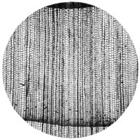 cross-section