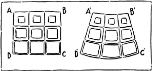 Diagram to Show the Greater Shrinkage of Summer Cells, A, B, than of Spring Cells, C, D.