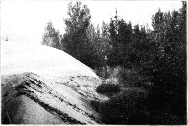 Sand-dune. Oregon.