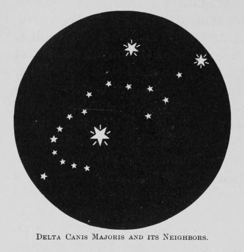 Delta Canis Majoris and its Neighbors.