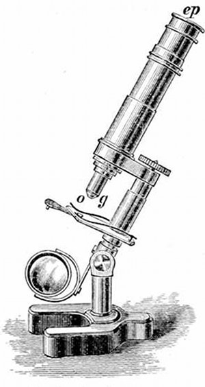 Fig. 14.

Student's microscope.
ep, Eye-piece, o, g, Object-glass.