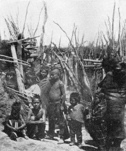 b. Showing screen near same entrance

IN A PAWNEE VILLAGE

Photographs by W. H. Jackson, 1871