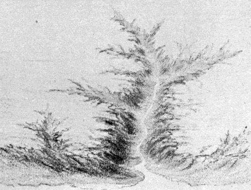 FIG. 2. Sketch of a valley
 at the stage of development corresponding to the cross section shown in Fig. 20.