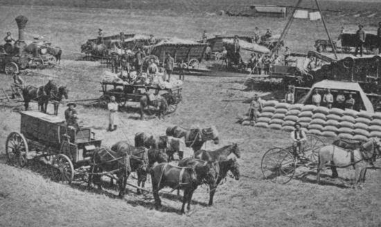 Fig. 4.—Threshing Wheat in Southern California.