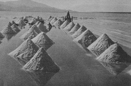 Fig. 31.—Harvesting Salt, Salton, California. Is there any Water in this Field?