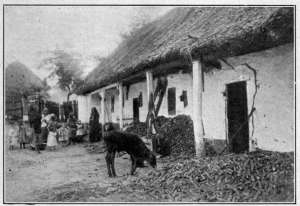 Photograph from Henry Ruschin
VILLAGE SCENE IN HUNGARY
These women and children struggled to keep food production close to normal, but failed.