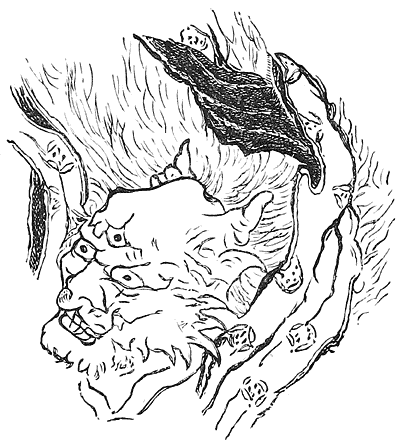 Fig. 7.—Japanese Demon.