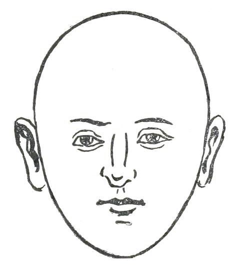 Fig. 16

EGG-SHAPED FACE