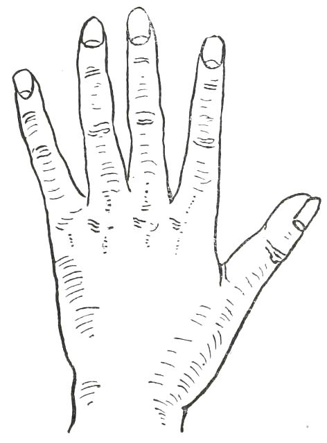 Fig. 25

ARTISTIC HAND