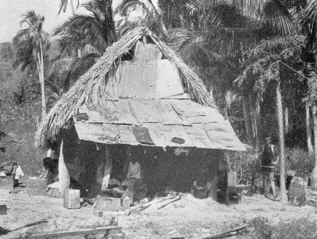 A NATIVE HUT