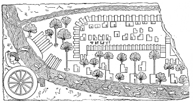 Fig. 62.—Susa. Assyrian Relief from Coyundjic.