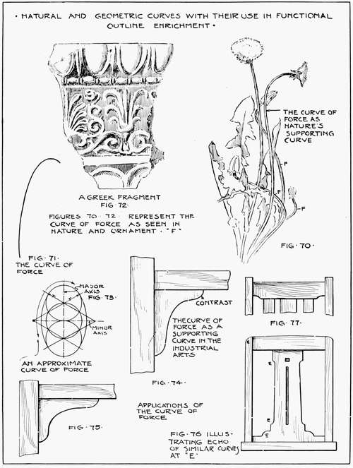 Natural and Geometric Curves With Their Use in Functional Outline Enrichment