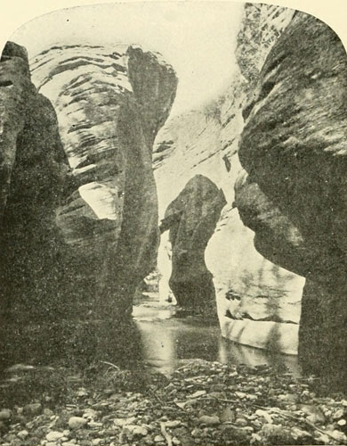 The Canyon of Brush
Creek—Looking Up.