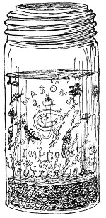 Fig. 57. A home-made aquarium.