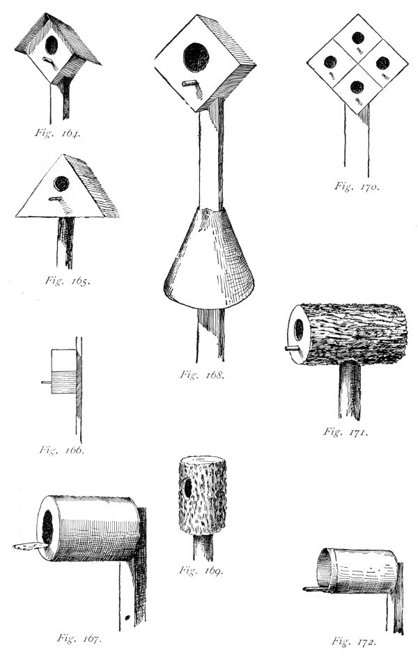 Improvised bird houses.