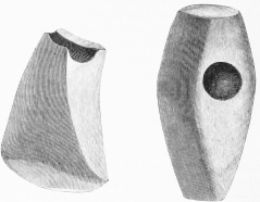 No. 56. No. 57.
No. 58. No. 59. No. 60. No. 61.
Stone Implements of the earliest Settlers (11 and 14 M.).
Nos. 56 and 57. An Axe and Hammer of Diorite. Nos. 58, 59, 60. Knives of
White Silex.
No. 61. Probably an Arrow-head.