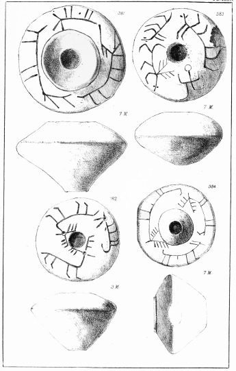 SPECIMENS OF WHORLS, &c. DUG UP AT TROY