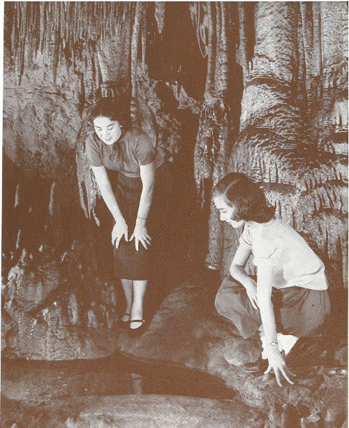 Who would expect to find this cavern scene in Florida? Icicle-like formations and a mirror pool are features of one of the state’s most unexpected attractions at Florida Caverns State Park.