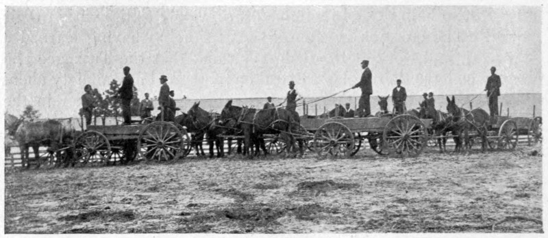 The Start from the Barn. Farm Students.