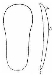 Fig. 33. Flint object from Mound No. 10.