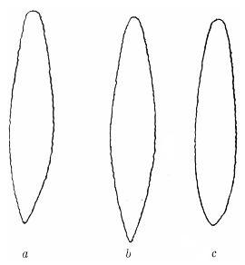 Fig. 37. Flint spearheads.