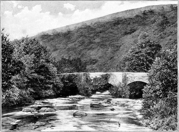 Fingle Bridge