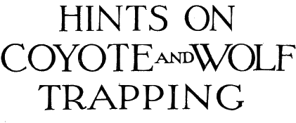 HINTS ON COYOTE AND WOLF TRAPPING